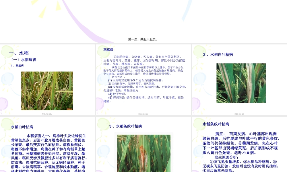 农作物病虫害图解.pptx