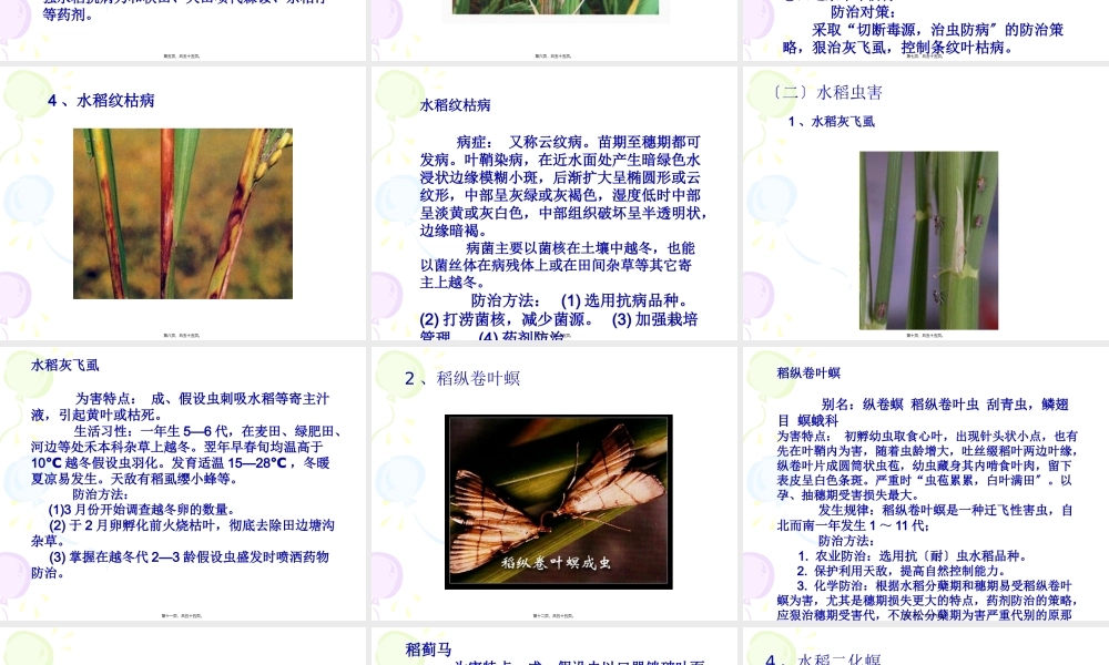 农作物病虫害图解.pptx