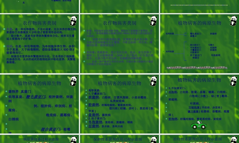 农药的分类.pptx