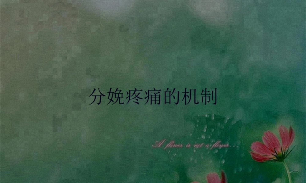 分娩疼痛的机制.pptx