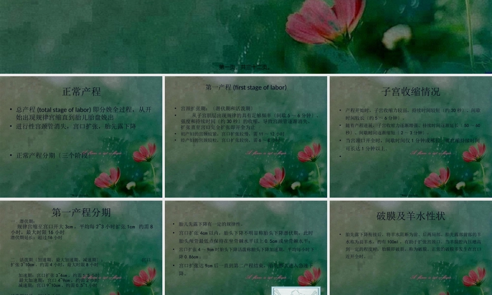 分娩疼痛的机制.pptx