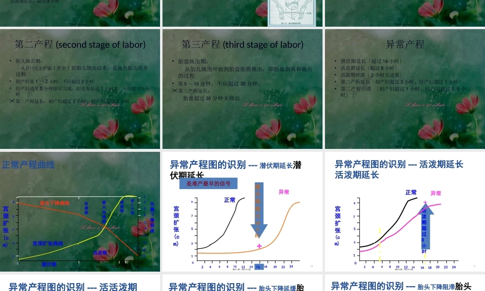 分娩疼痛的机制.pptx