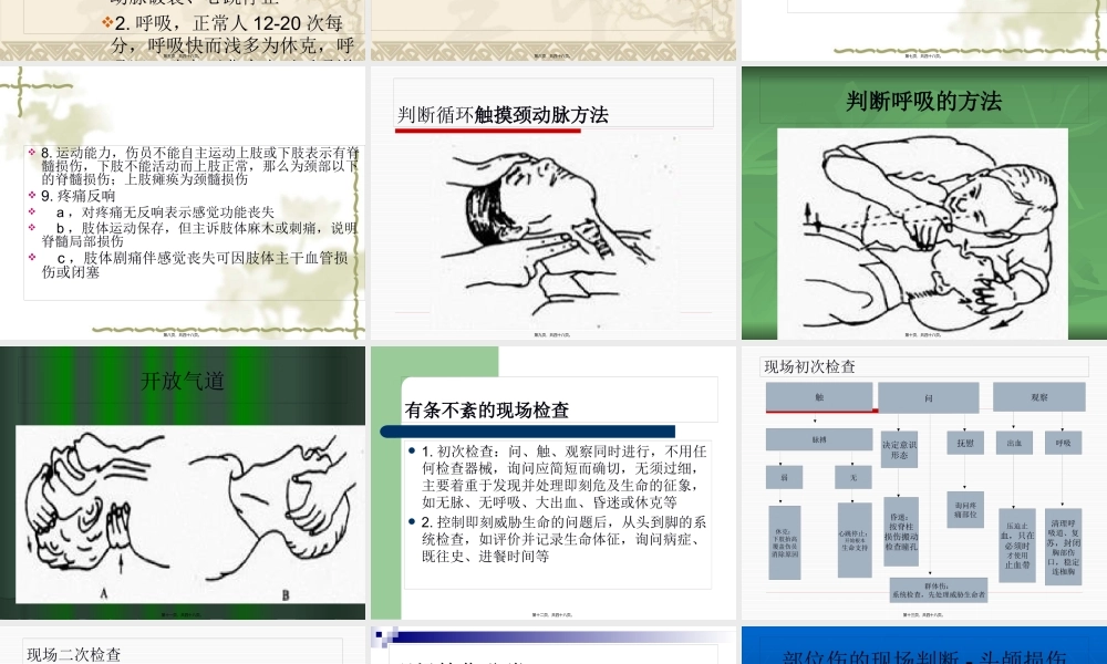 创伤急救基本原则.pptx