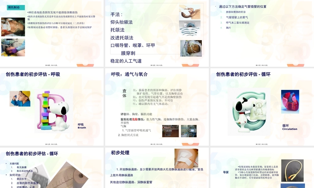 创伤评估救治(急诊-骆嘉沛).pptx