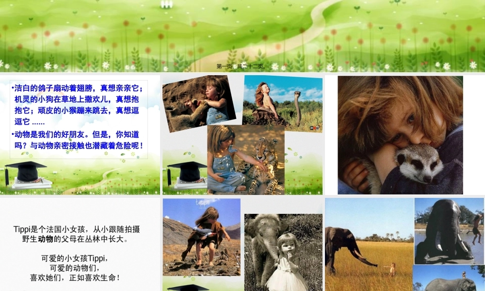 别让动物伤着你.pptx