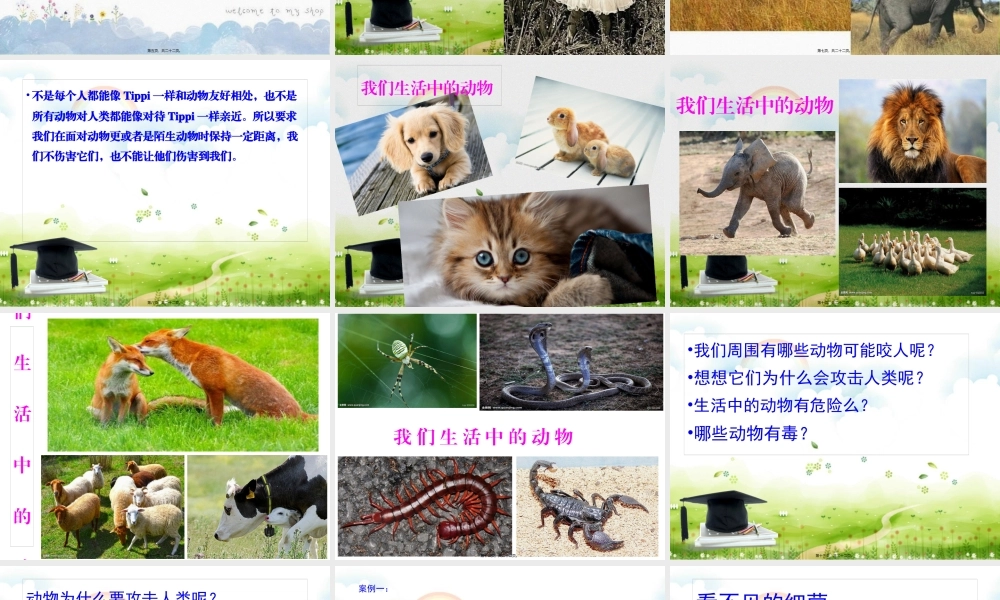 别让动物伤着你.pptx