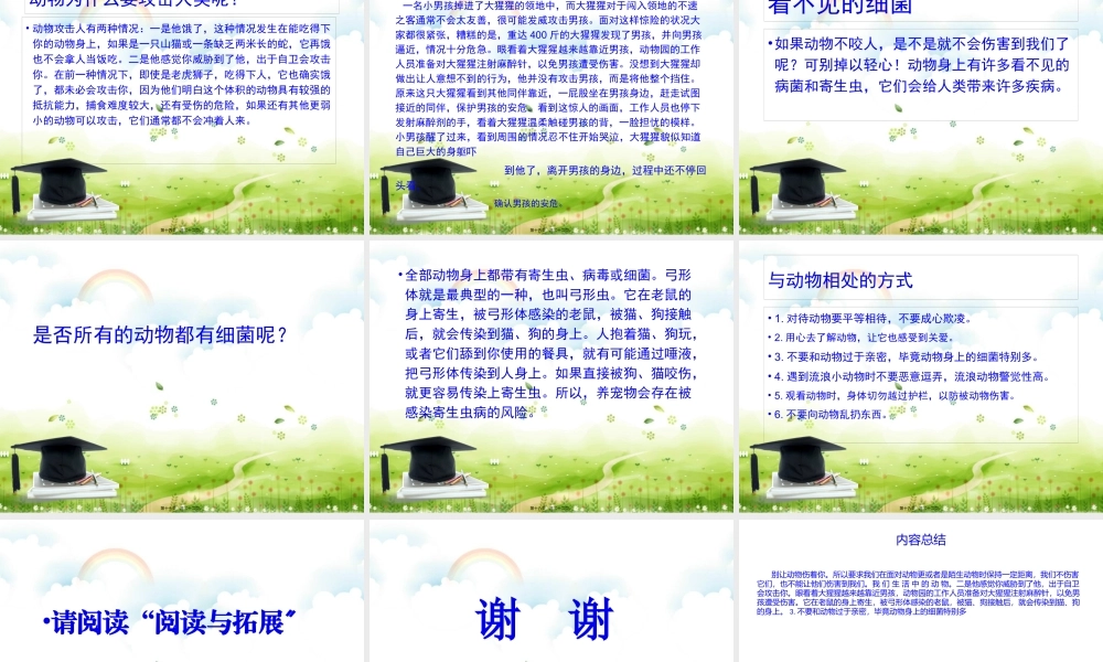 别让动物伤着你.pptx