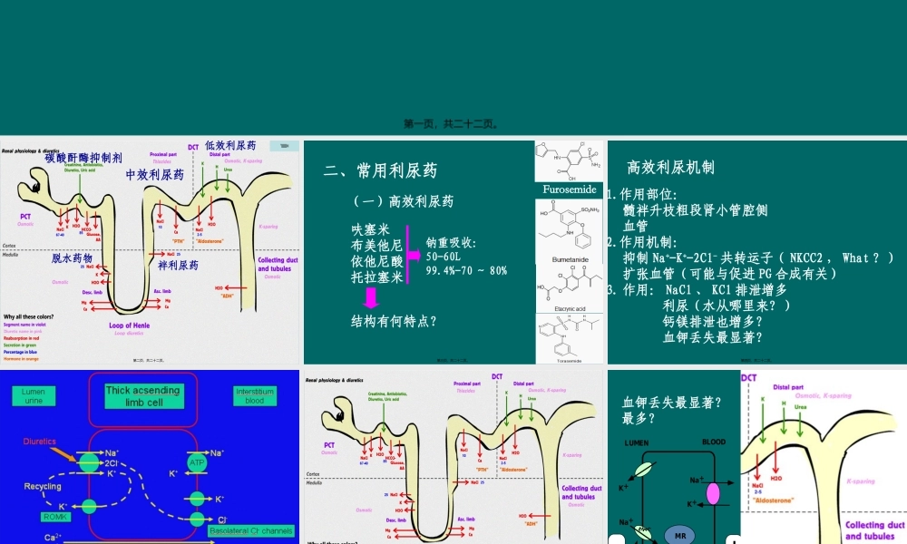 利尿药及脱水药.pptx