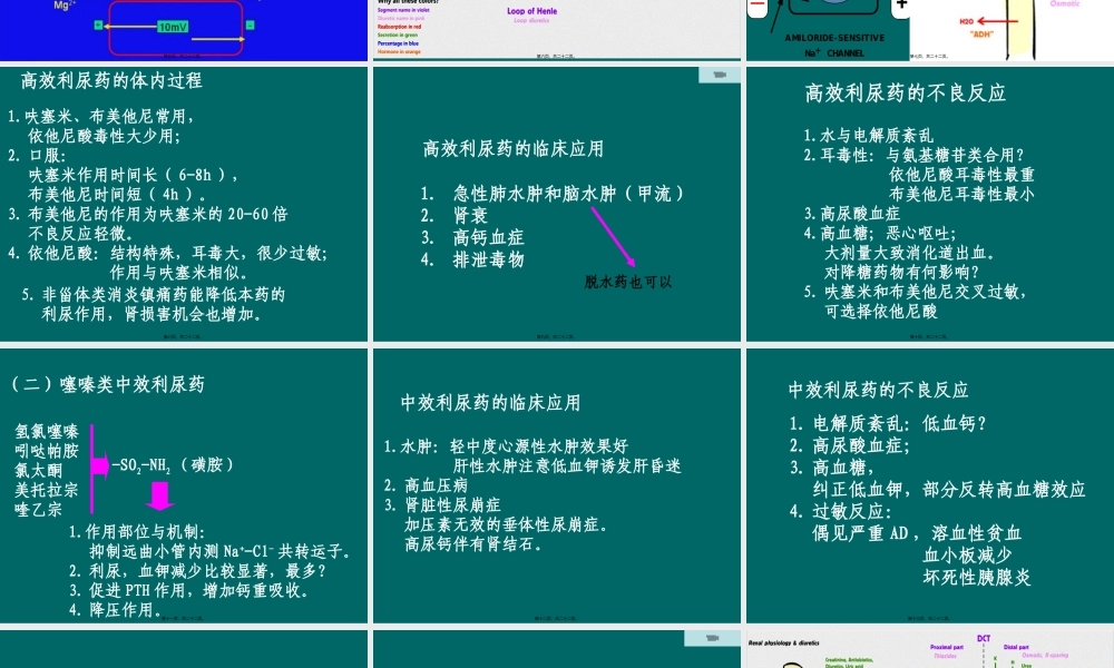 利尿药及脱水药.pptx