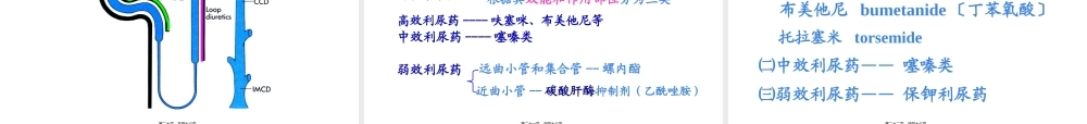 利尿药2012.pptx