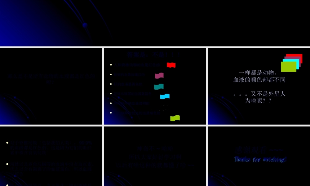 动物的血液颜色.pptx