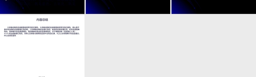 动物的血液颜色.pptx