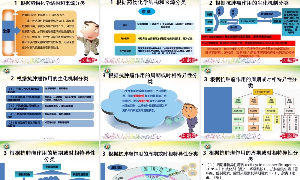 化疗药的分类特点及不良反应的防治.pptx