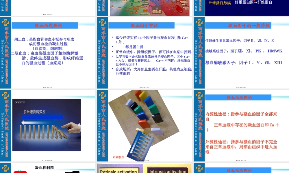 化验单解读(血凝分析).pptx