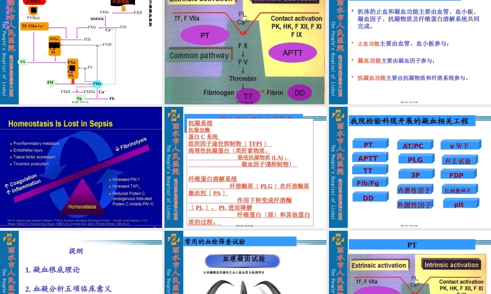 化验单解读(血凝分析).pptx