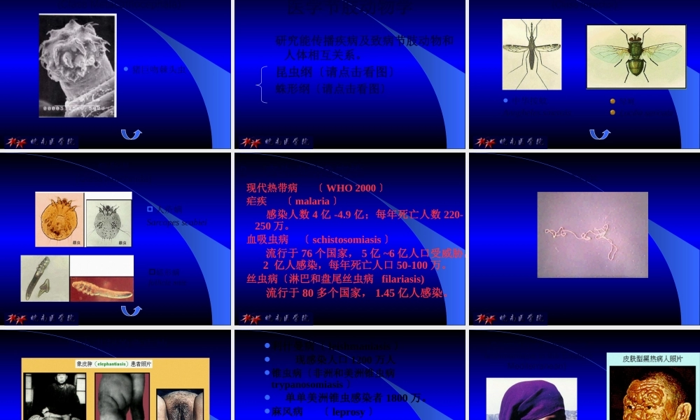 医用人体寄生虫学.pptx