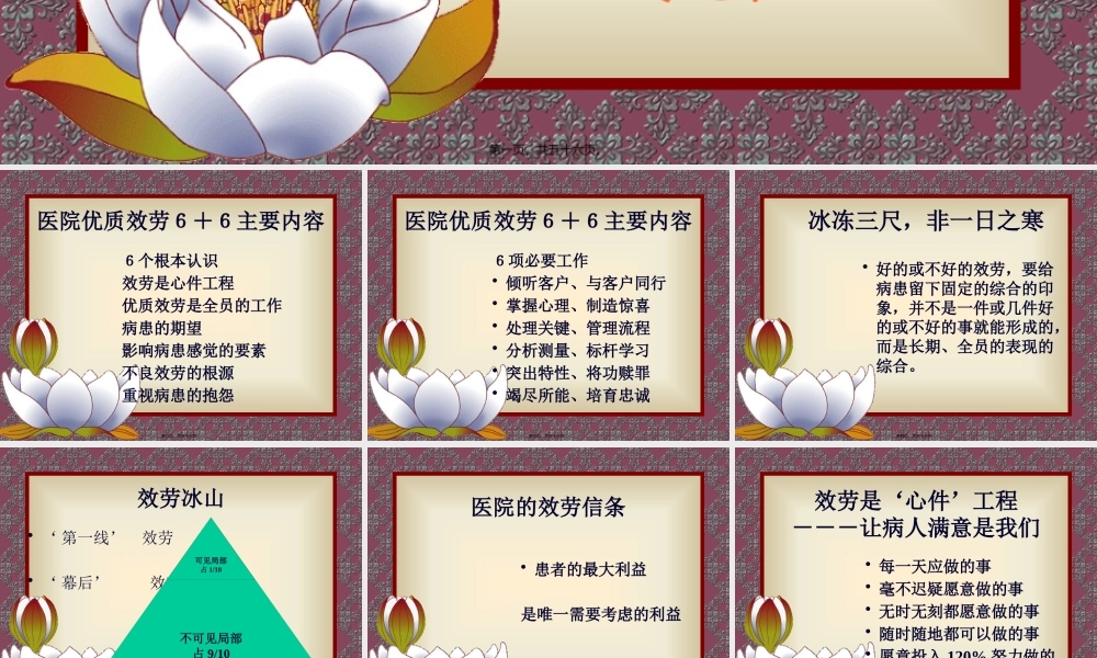 医院优质服务6-剖析.pptx