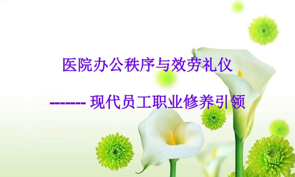 医院礼仪与办公秩序.pptx