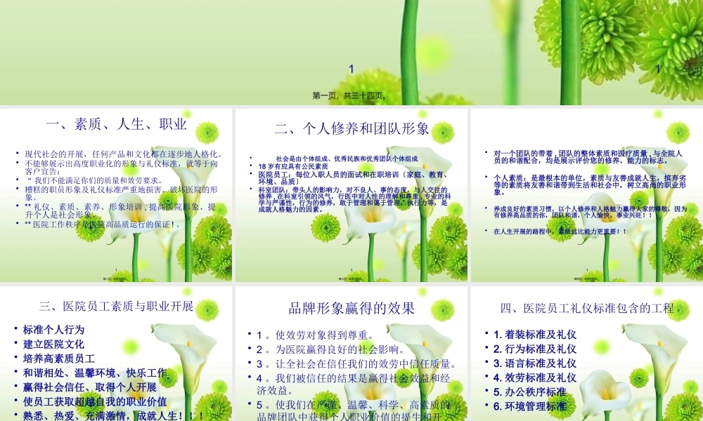 医院礼仪与办公秩序.pptx