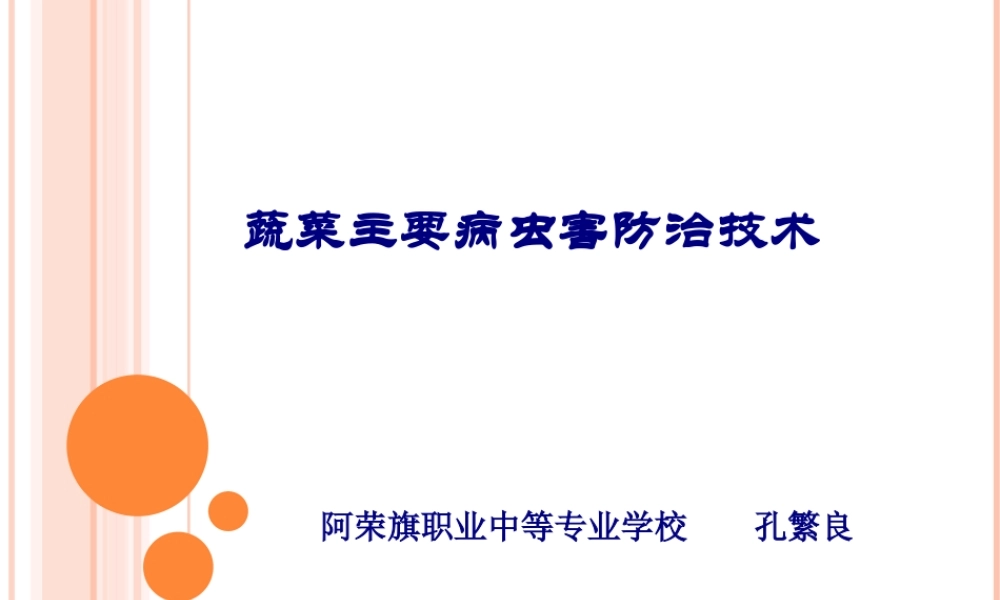 十字花科病虫害.pptx