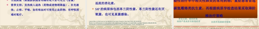 卒中相关性肺炎.pptx