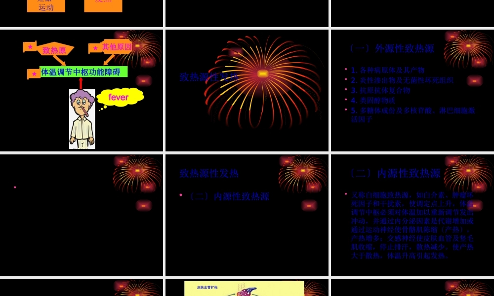 发热2011年4月7日.pptx