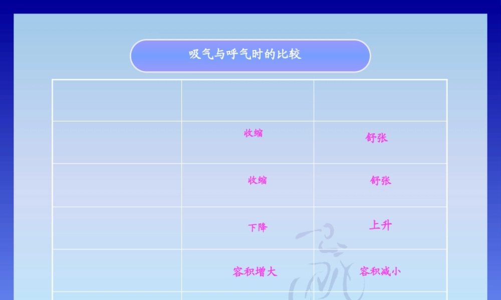 发生在肺内的气体交换2.pptx