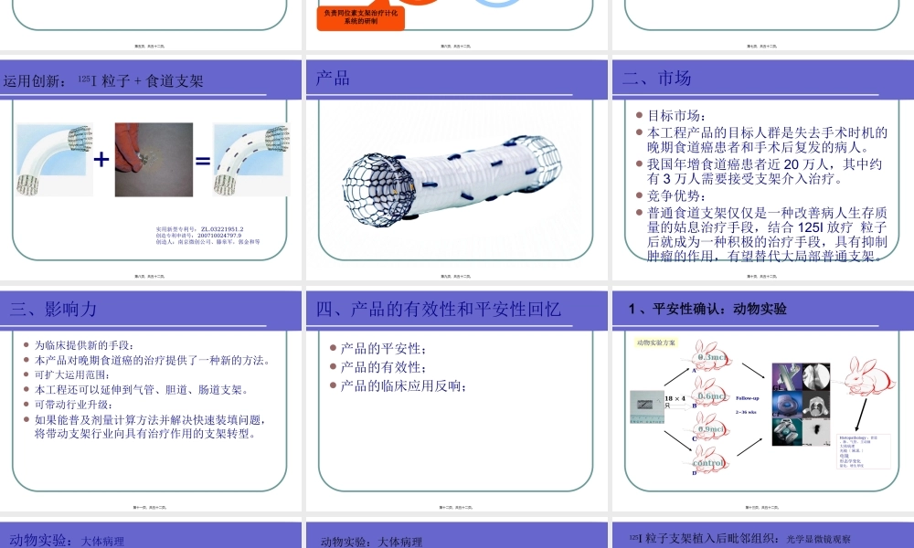 可携带放射粒子食道支架.pptx