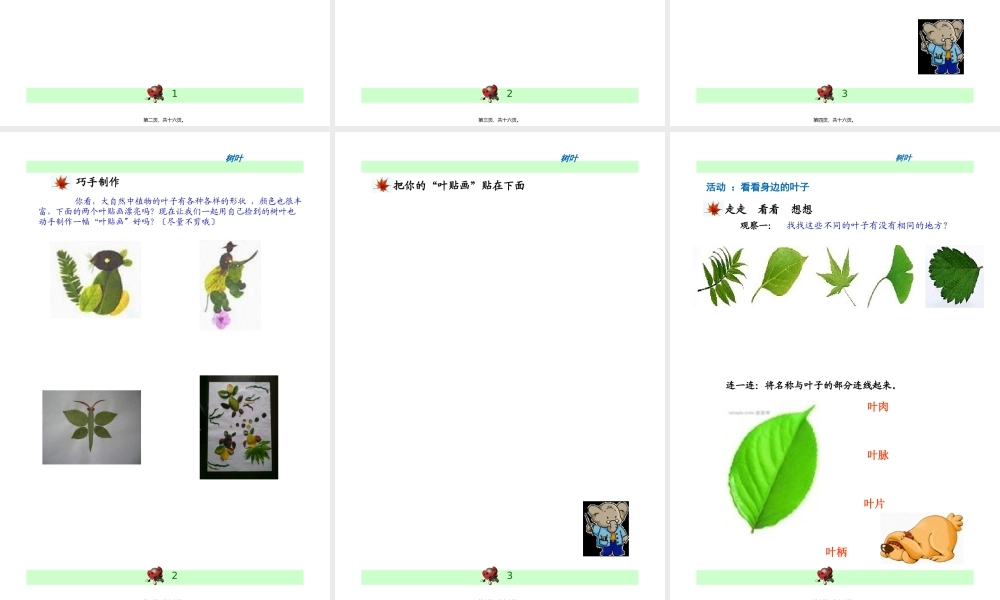 叶脉叶柄叶肉叶片连一连.pptx