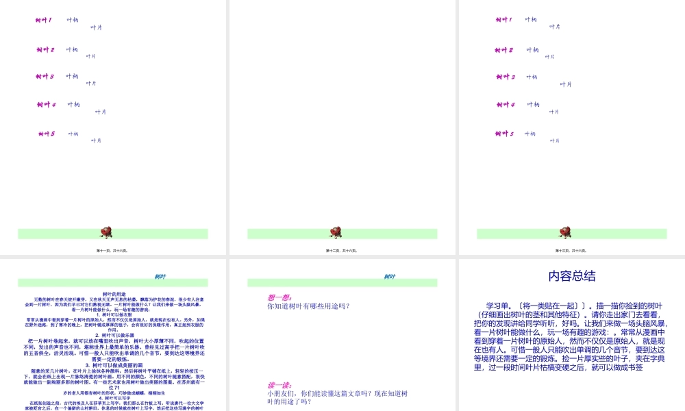 叶脉叶柄叶肉叶片连一连.pptx