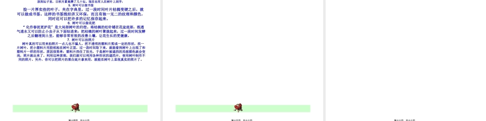 叶脉叶柄叶肉叶片连一连.pptx