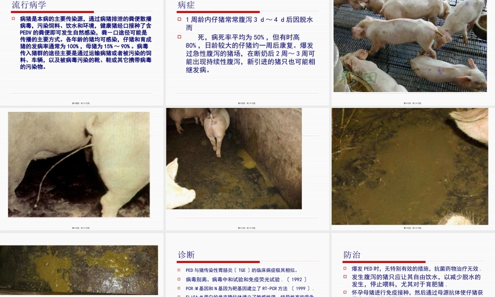 各论3猪流行性腹泻.pptx