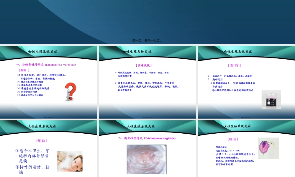 各种阴道炎.pptx