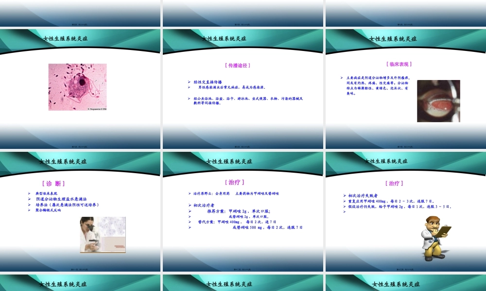 各种阴道炎.pptx