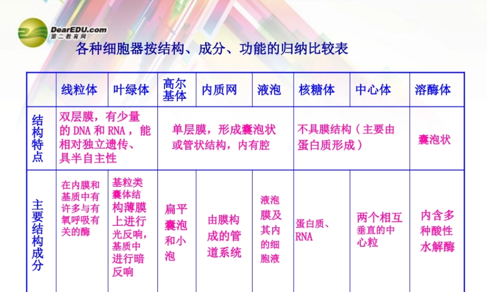 各种细胞器按结构、成分、功能的归纳比较表.pptx