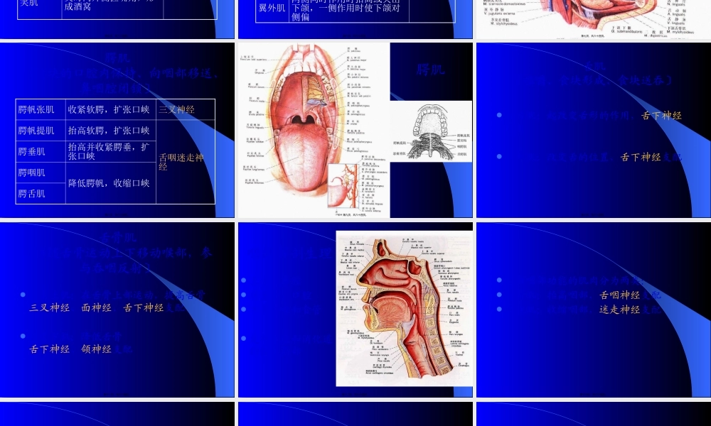 吞咽困难的评定与康复.pptx