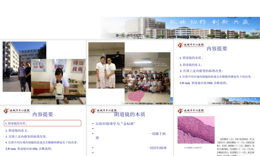 吕卫琴-阴道镜R-way诊治2015.8.29.pptx