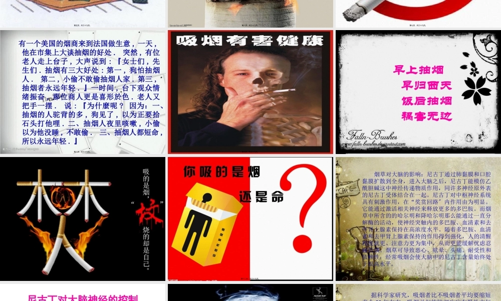 吸烟有害健康讲座.pptx