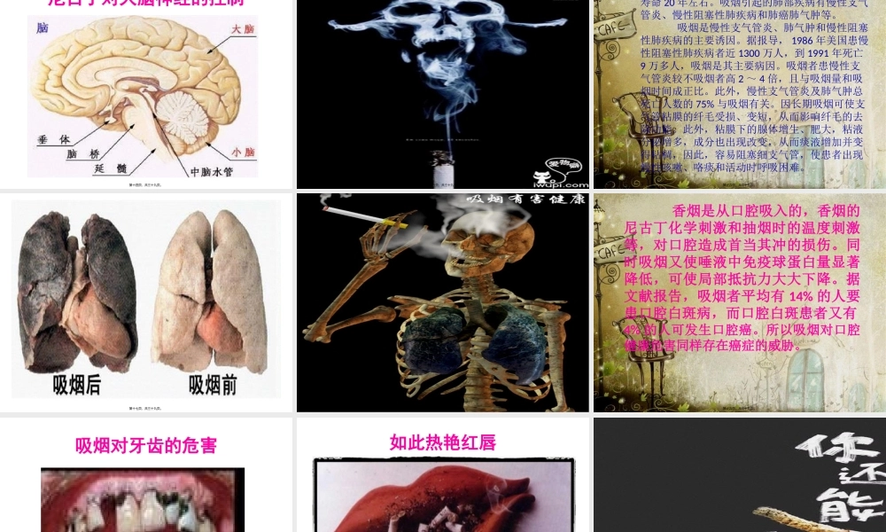 吸烟有害健康讲座.pptx