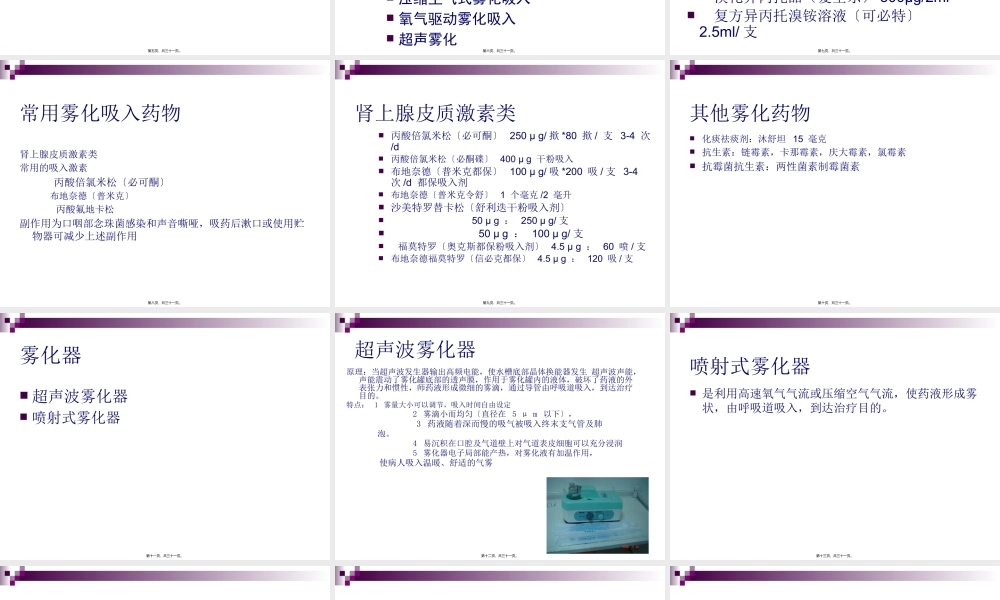 吸入疗法简介.pptx