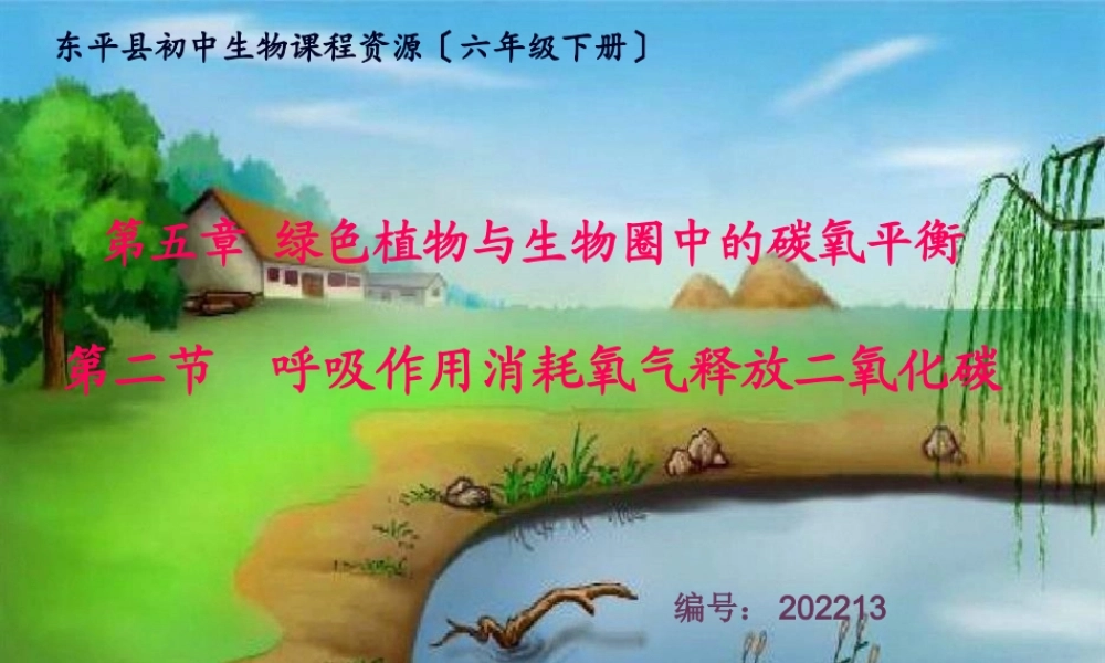 呼吸作用消耗氧气释放二氧化碳定稿.pptx