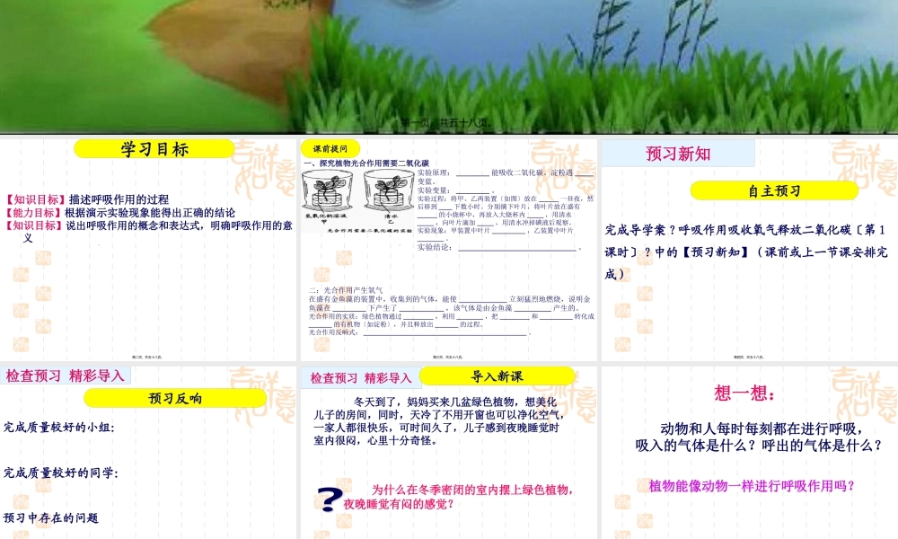 呼吸作用消耗氧气释放二氧化碳定稿.pptx