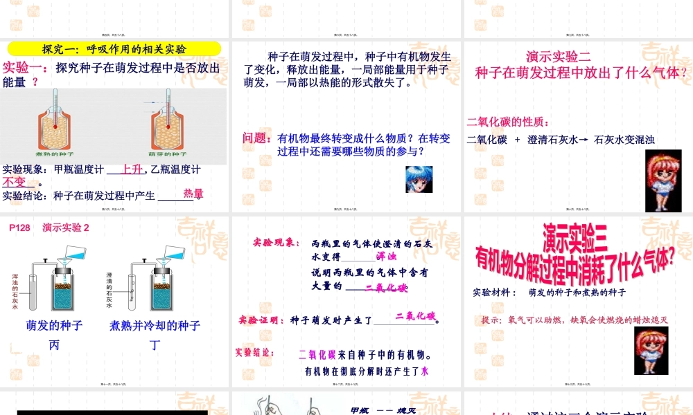 呼吸作用消耗氧气释放二氧化碳定稿.pptx