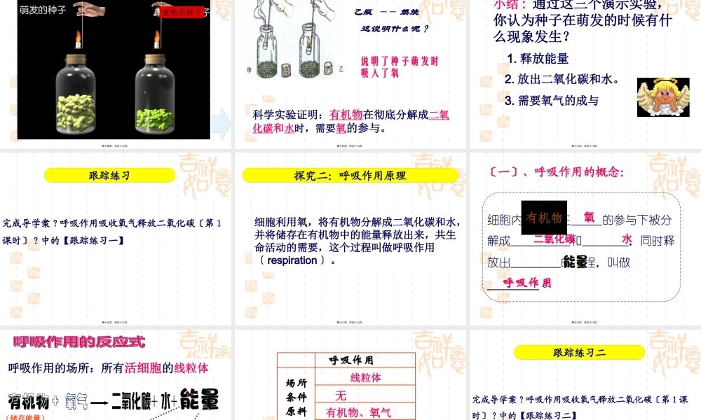 呼吸作用消耗氧气释放二氧化碳定稿.pptx