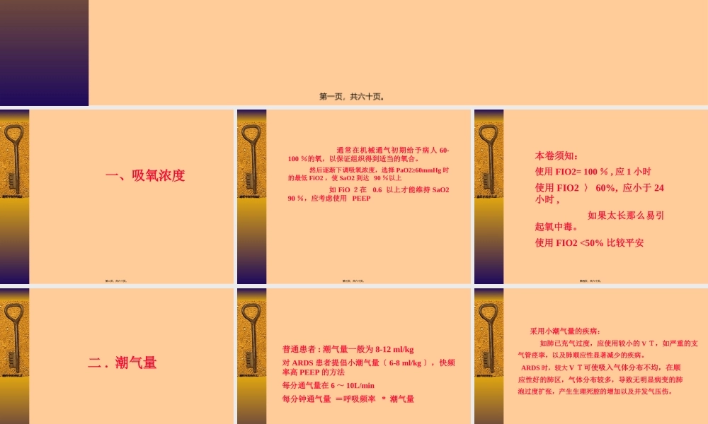 呼吸机的参数调节.pptx