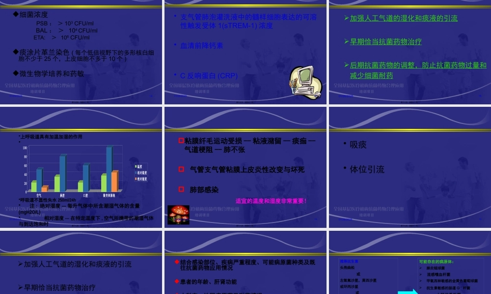 呼吸机相关性肺炎杨毅描述.pptx