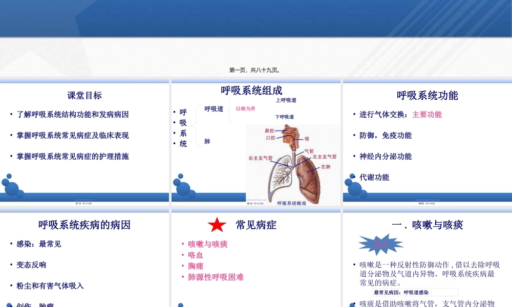 呼吸系统-概述.pptx