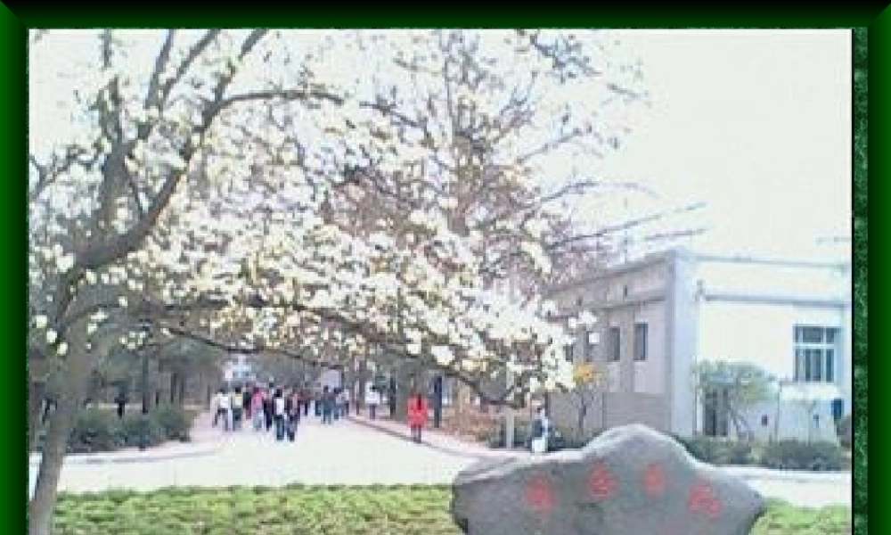 呼吸系统有关问题讨论.pptx