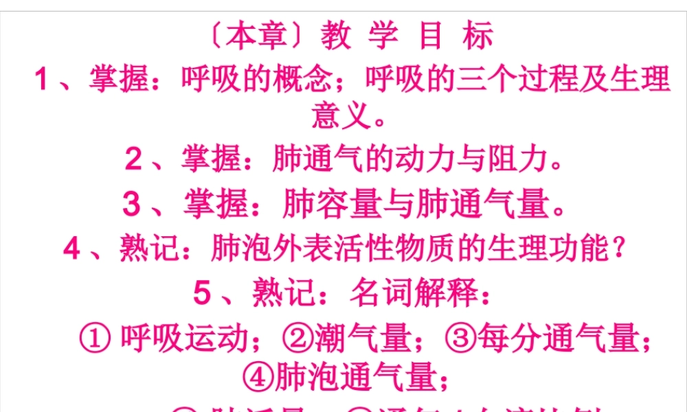 呼吸肺通气.pptx