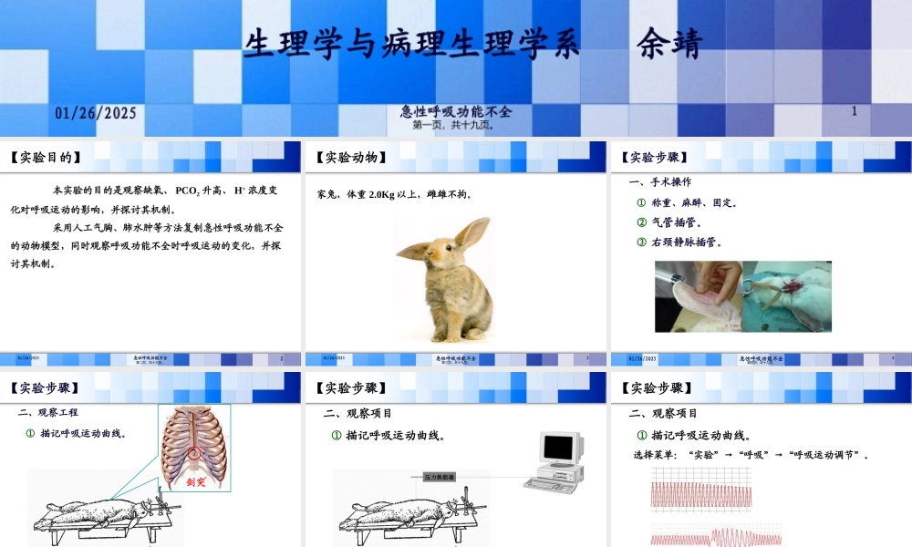 呼吸运动的影响因素与急性呼吸功能不全.pptx